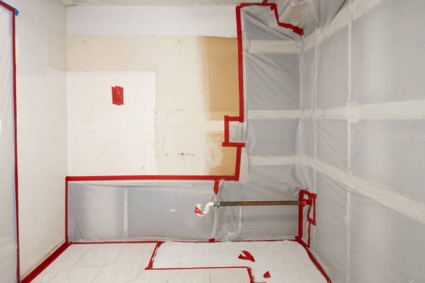 Best Water Damage & Mold Remediation  in Shenandoah Junction, WV