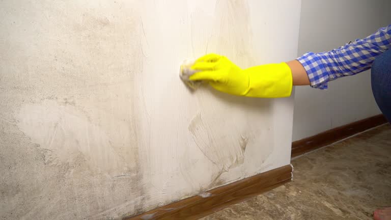 Mold Remediation for Vacation Homes in Shenandoah Junction, WV