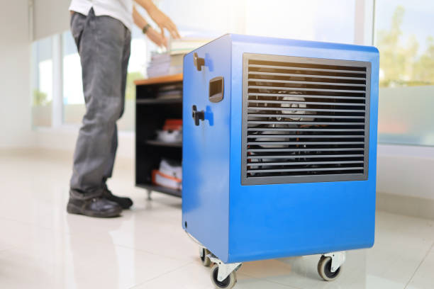 Best Dehumidification Services  in Shenandoah Junction, WV