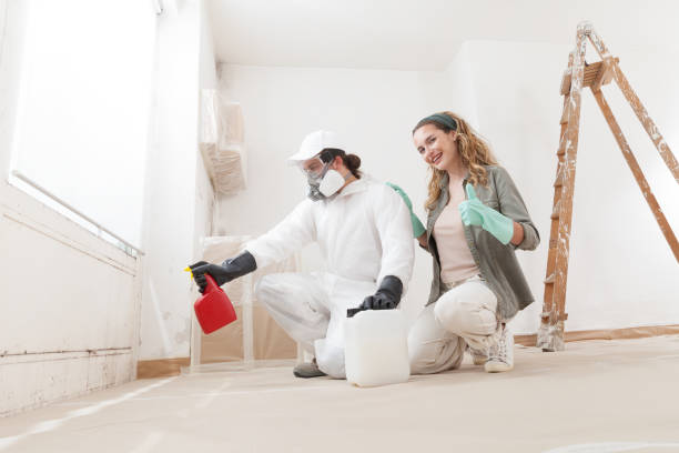 Best Post-Construction Mold Inspection  in Shenandoah Junction, WV